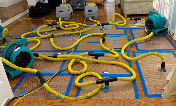 Professional Structural Drying And Dehumidification technician working in Utica, MN